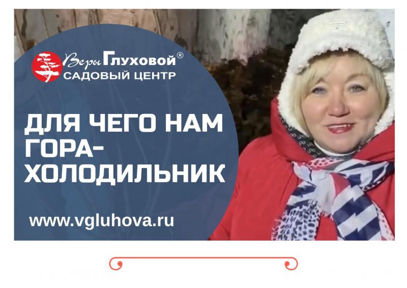 Где и как мы храним в зимнее время саженцы ОКС (голый корень)