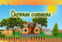 Смотрите Дачные советы в четверг 10.11.2016 г. в 19.20 на телеканале Губерния.