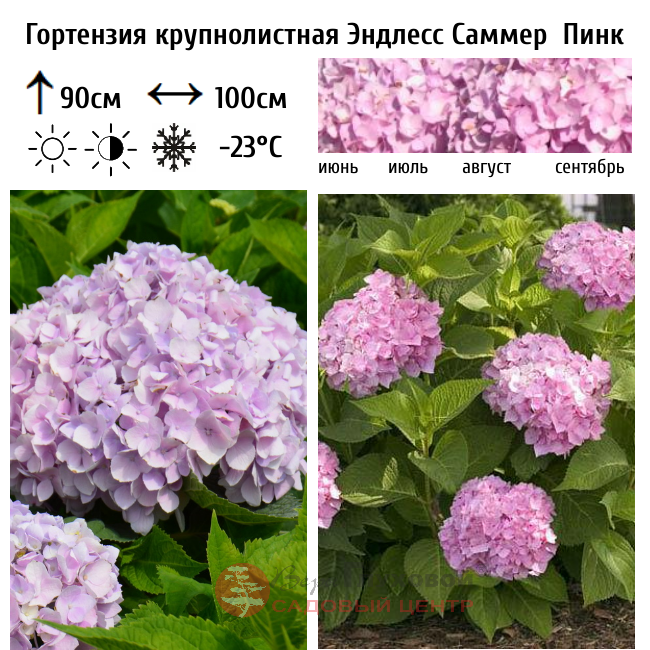 Основное изображение товара