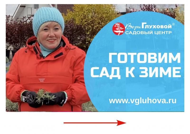 Готовим сад к зиме. Обрезка роз, декоративных кустарников