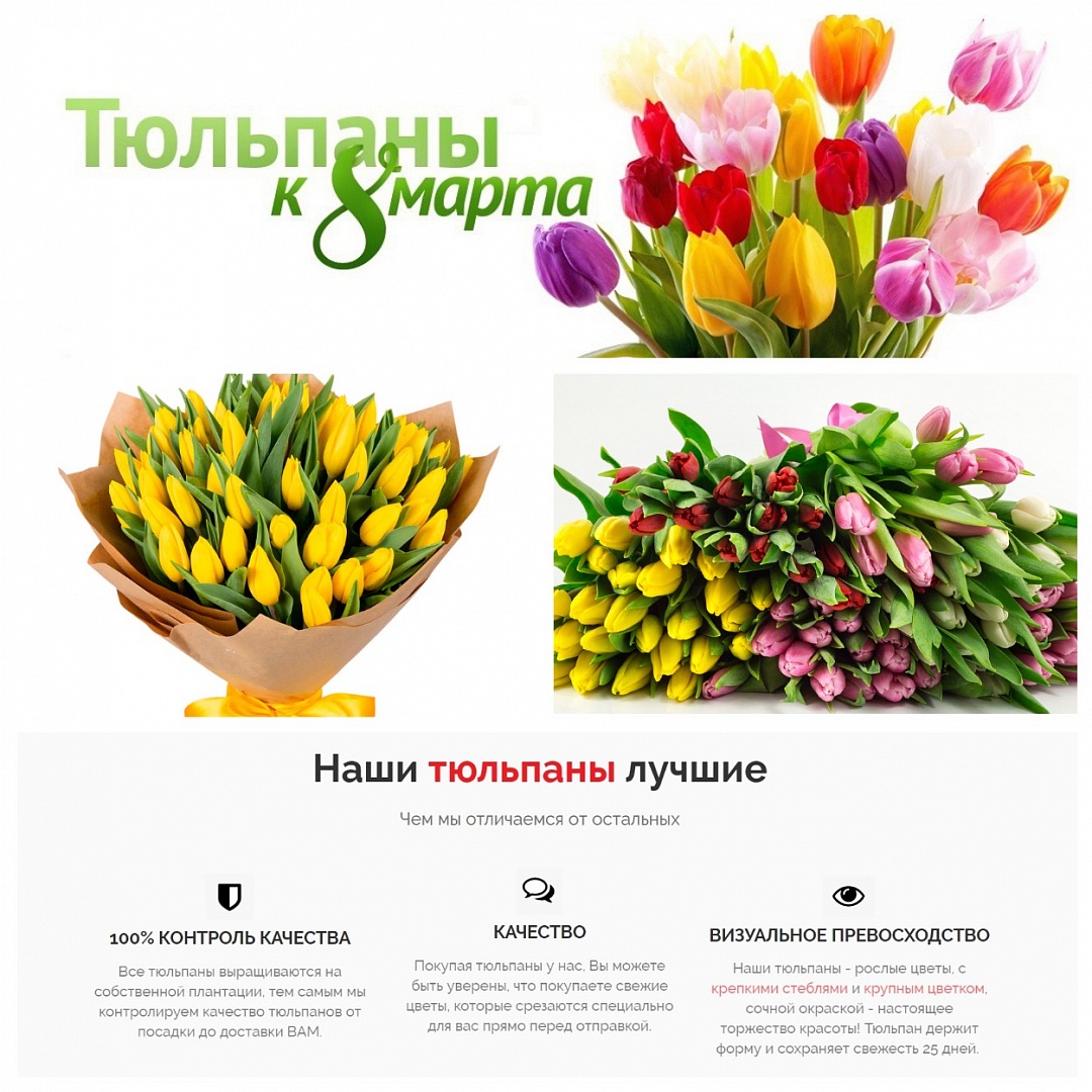 Тюльпаны для любимых женщин Тюльпаны для любимых женщин
