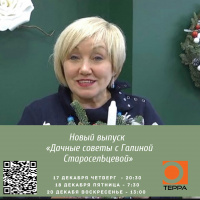 Как сделать новогоднюю композицию