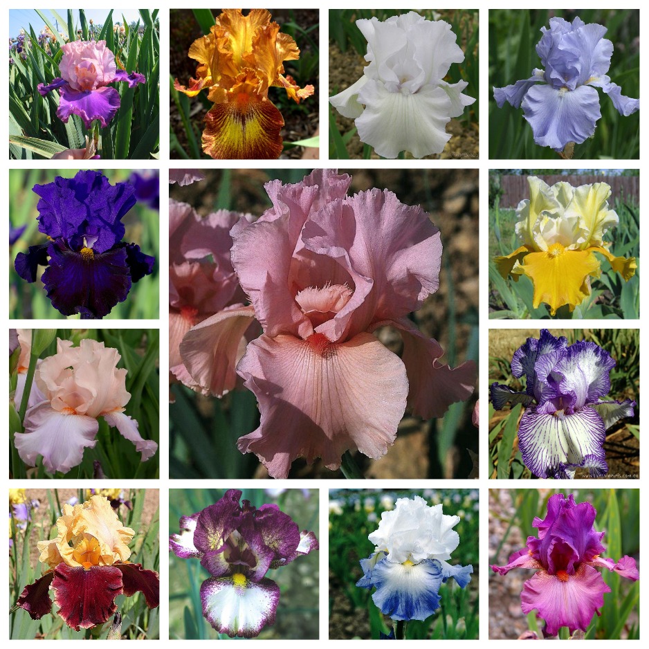 Мы ждем Вас на выставке "Дачный сезон" Мы ждем Вас на выставке "Дачный сезон"