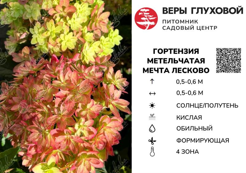 СКОРО В ПРОДАЖЕ!