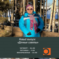 Вера Викторовна расскажет, как зимуют большие деревья