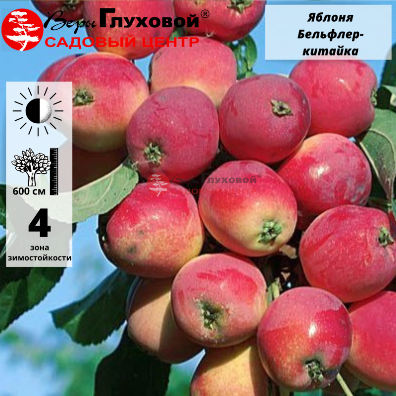 Рисунок 269.jpg