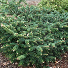 Основное изображение товара