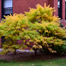 Основное изображение товара