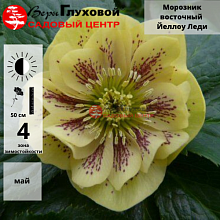 Основное изображение товара