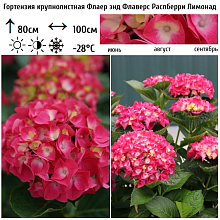 Основное изображение товара